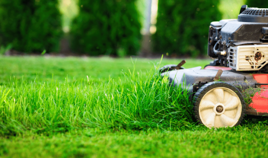 LAWN CARE